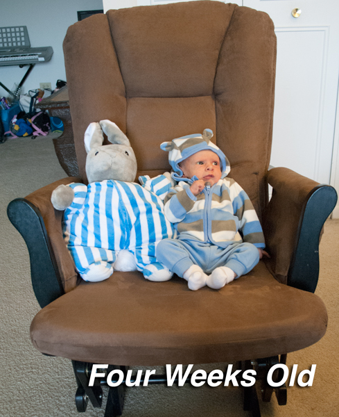 Four-Weeks-Old